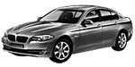 BMW F10 P0255 Fault Code